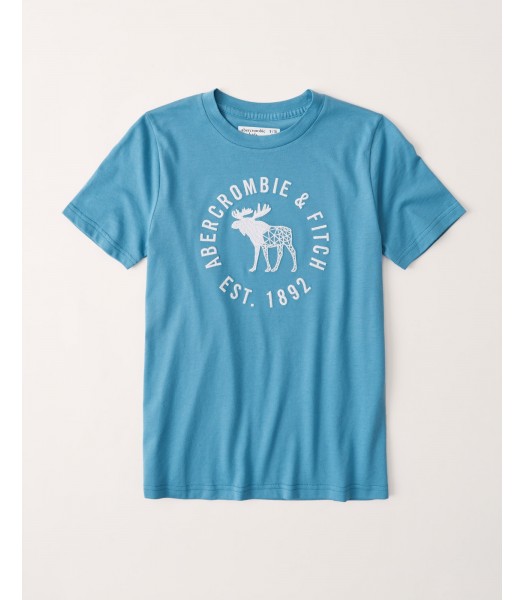Abercrombie Light Blue Embroidered Logo Tee.